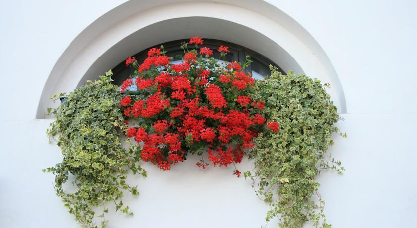 Al Bagolaro Bed & Breakfast Crocetta del Montello Exterior photo