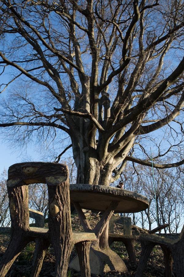 Al Bagolaro Bed & Breakfast Crocetta del Montello Exterior photo